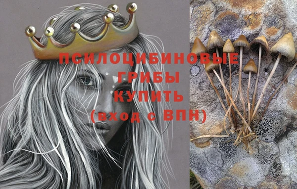 винт Алзамай