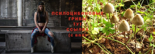 ALPHA PVP Алексеевка
