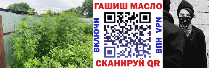 KRAKEN ссылка  Моздок  Дистиллят ТГК THC oil 