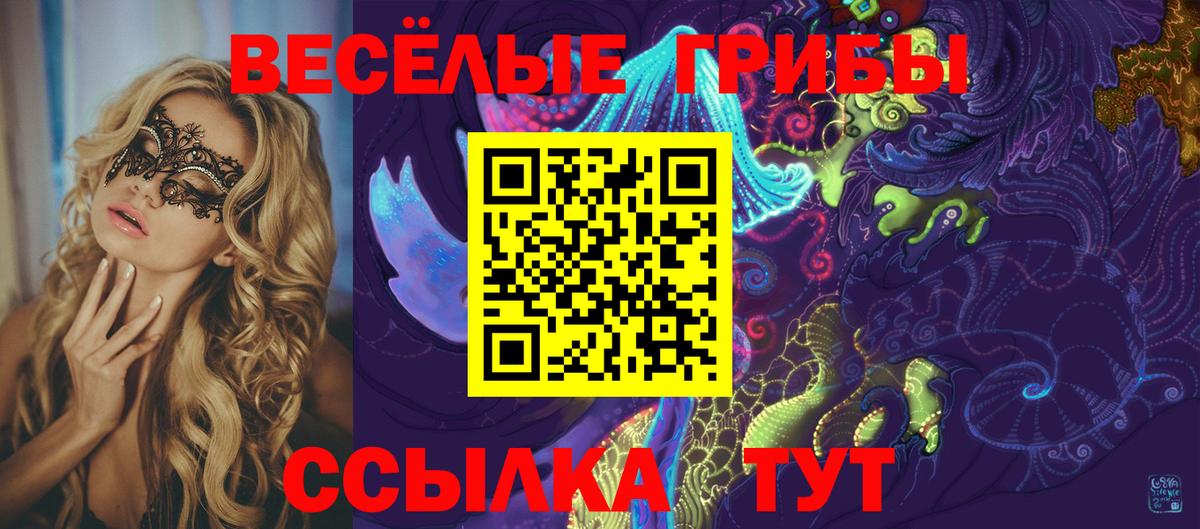 Галлюциногенные грибы мухоморы  Вход с VPN  купить наркоту  Моздок 